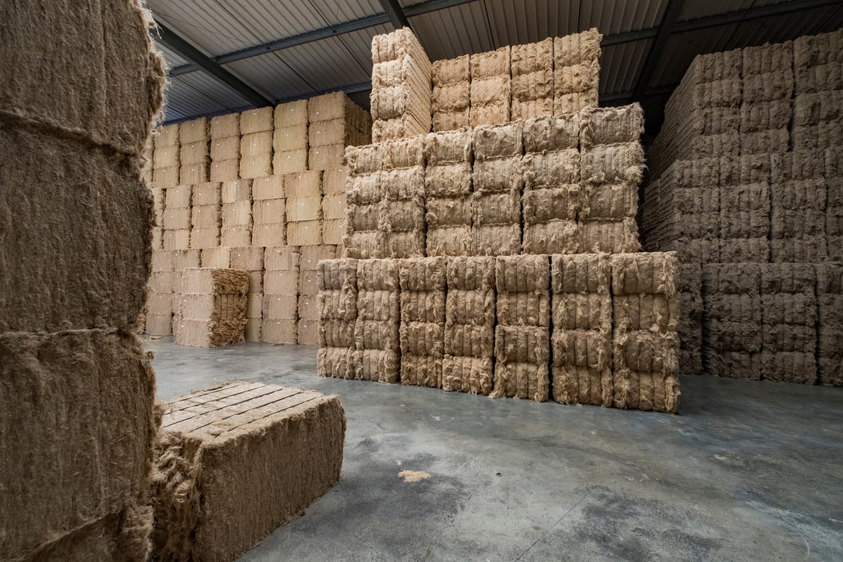 Maren Krings - photojournalist and climate impact storyteller