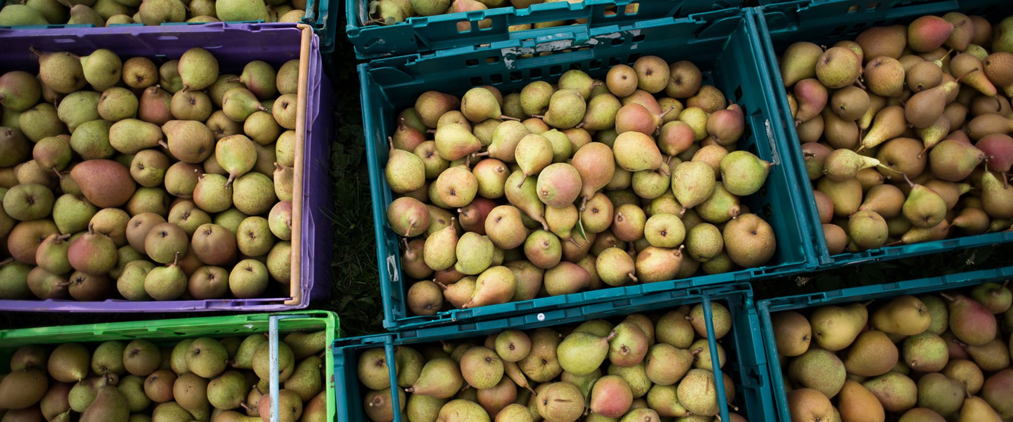 Food for Soul - Promoting social awareness about food waste and hunger