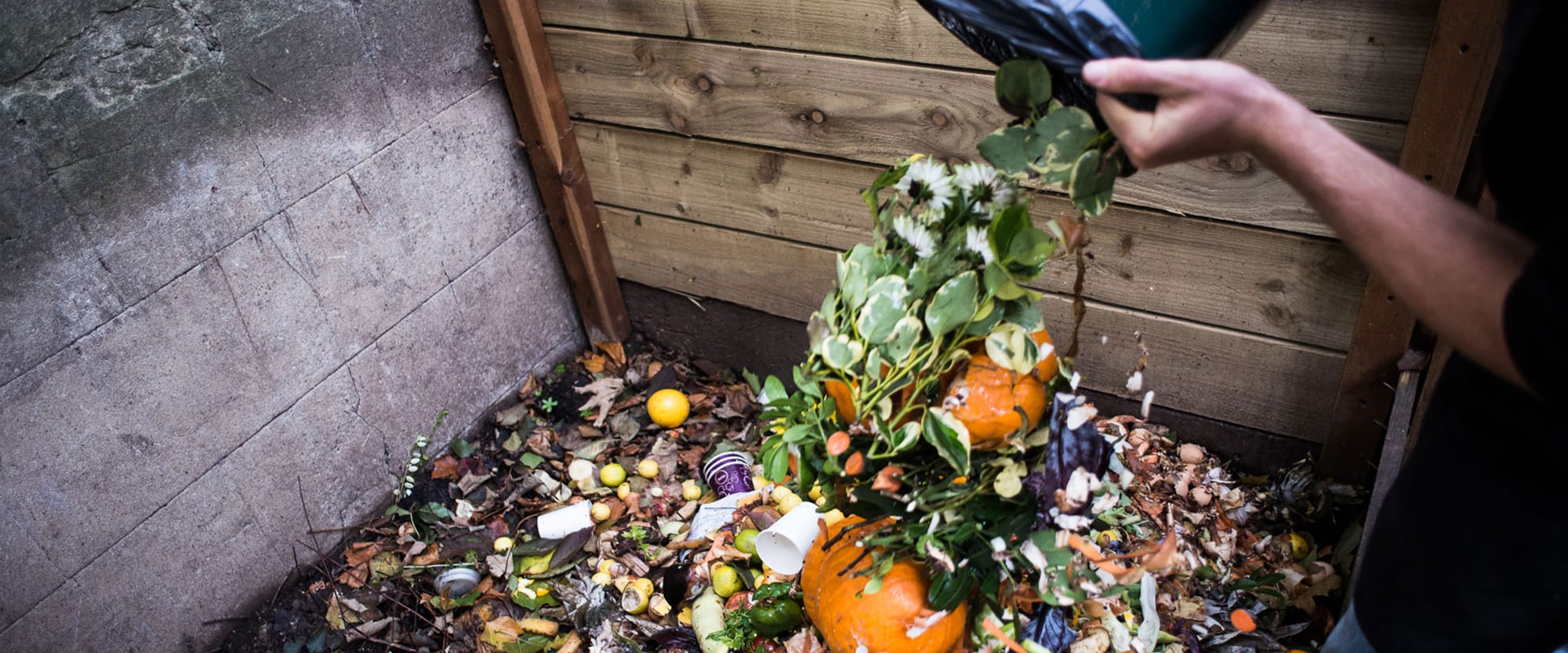 Pete Pearson - Director of WWF US food waste campaign