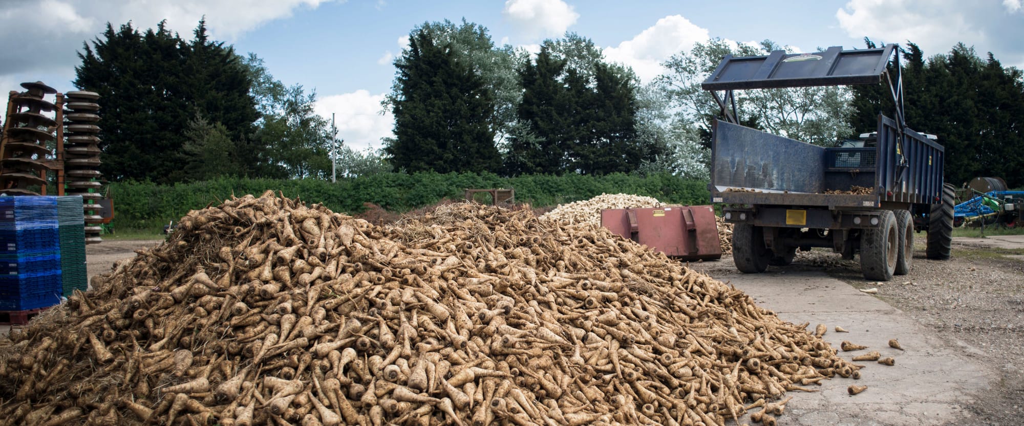 Feedback - Ranking supermarkets on reducing food waste