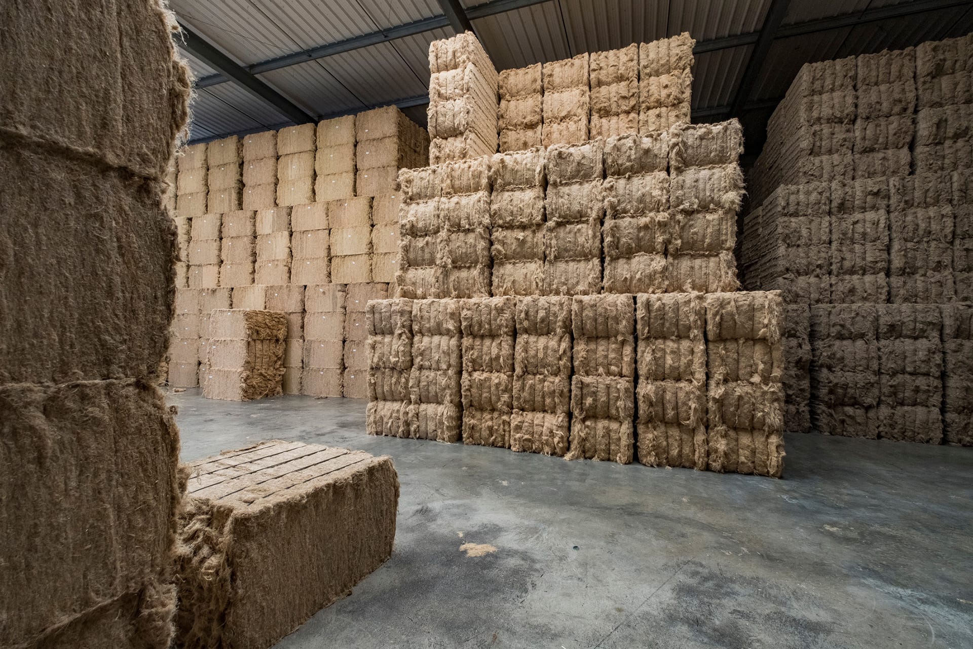 Maren Krings - photojournalist and climate impact storyteller