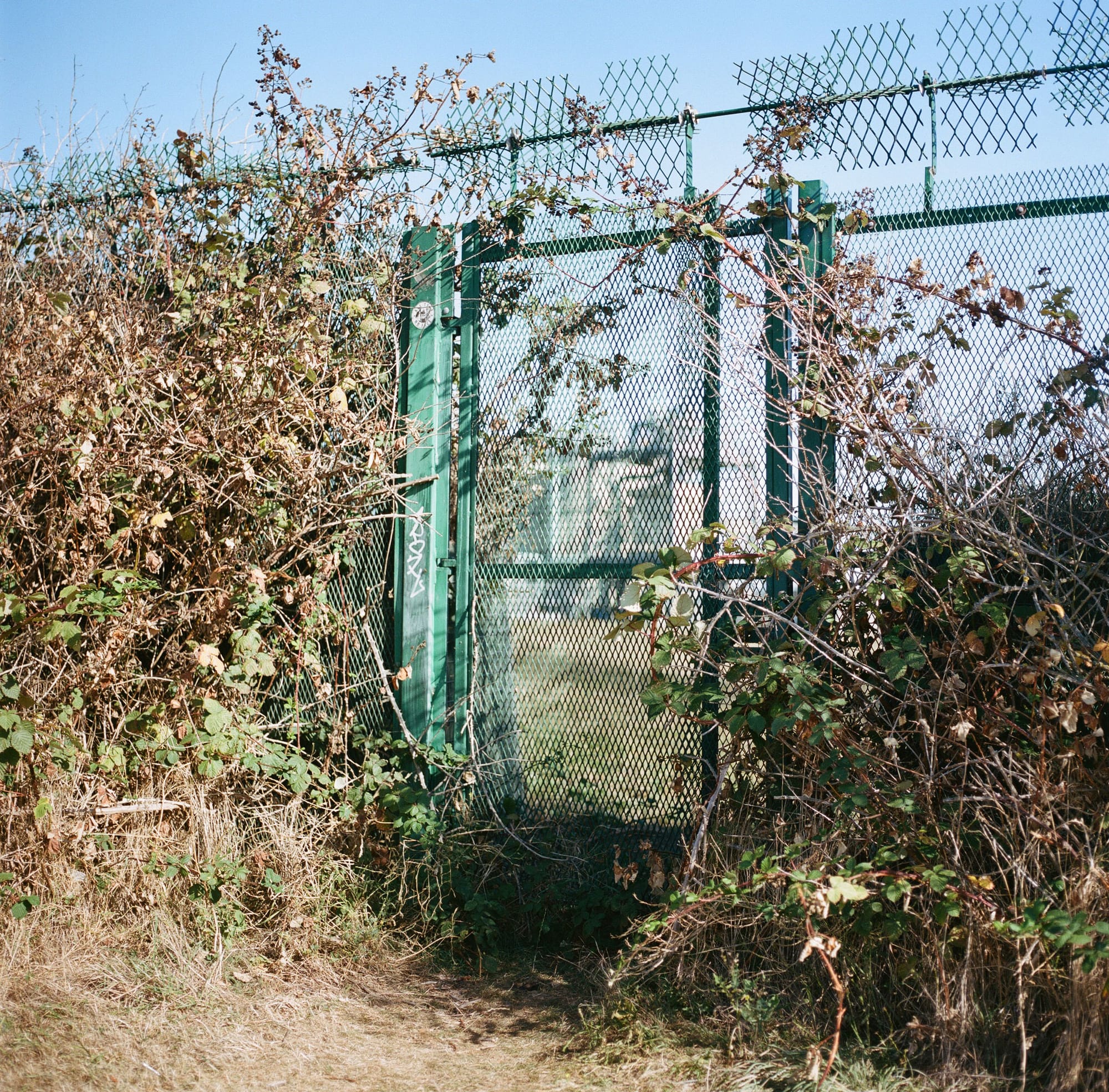 Another way is possible: Businesses and economies can serve people, rather than the other way round