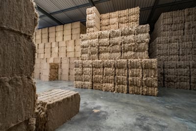 Maren Krings - photojournalist and climate impact storyteller