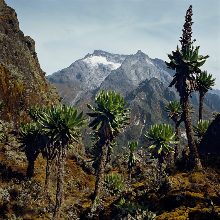 Klaus Thymann - photographer and filmmaker