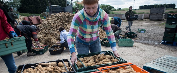Margaret Ritchie MP, of the Environment, Food and Rural Affairs Committee