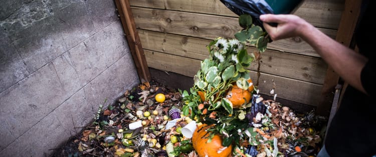 Pete Pearson - Director of WWF US food waste campaign