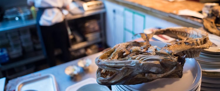 Chef Tom Hunt - Promoting 'Root to Fruit' eating