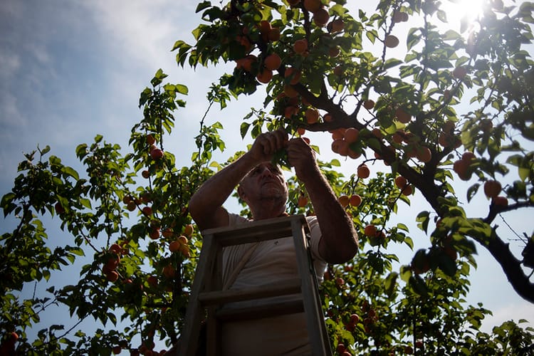 Bringing the Climate Crisis to Our Doorsteps